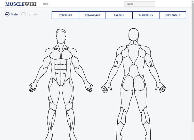 MuscleWiki：图文介绍全身各部分肌肉锻炼方法，辅助健身运动