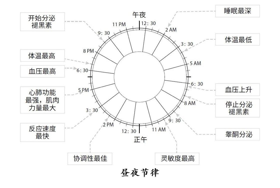 学会好好睡觉 | 睡眠革命的读书笔记