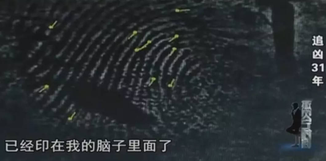 今日说法,追凶31年