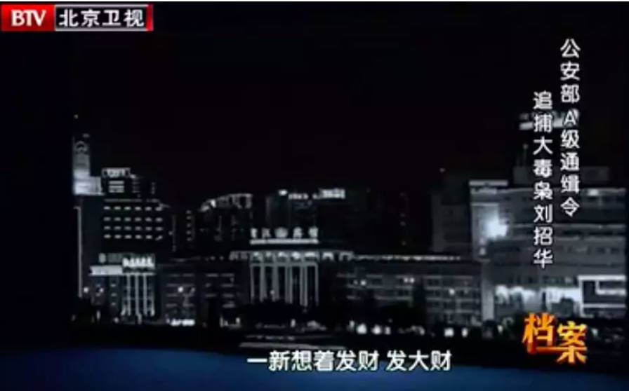 档案,刘招华,大毒枭