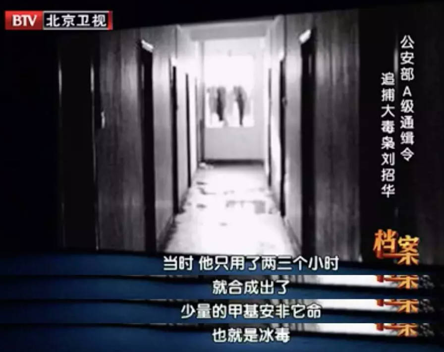 档案,刘招华,大毒枭